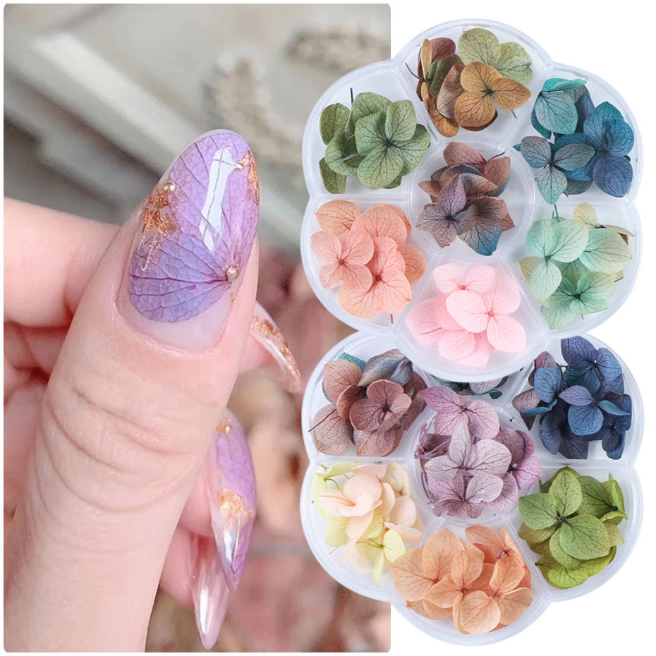 Mga Kulay ng Nail Dried Flowers
